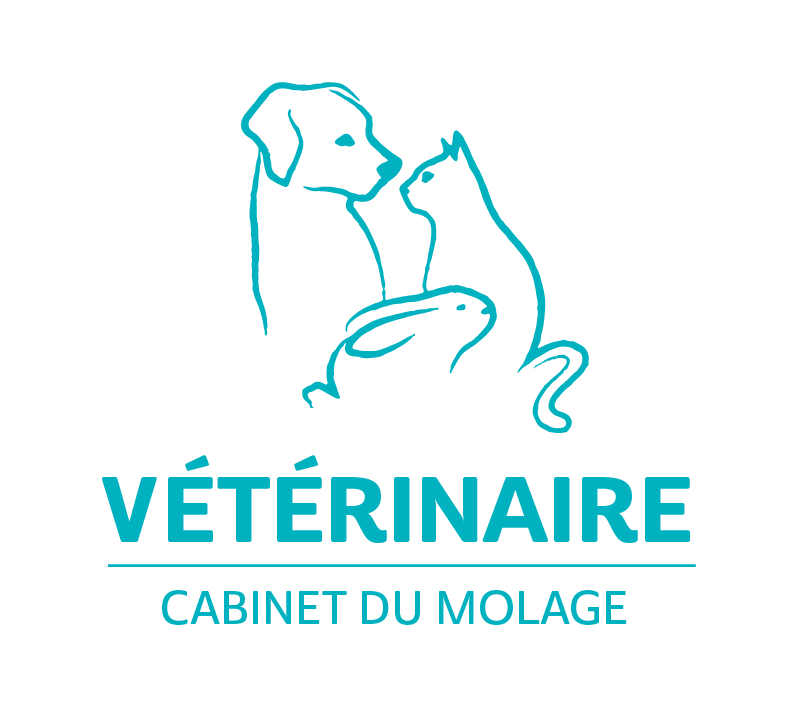 Logo cabinet du molage